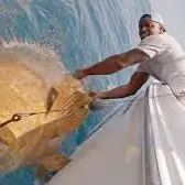 The most recent Pacific goliath grouper catches on Fishbrain