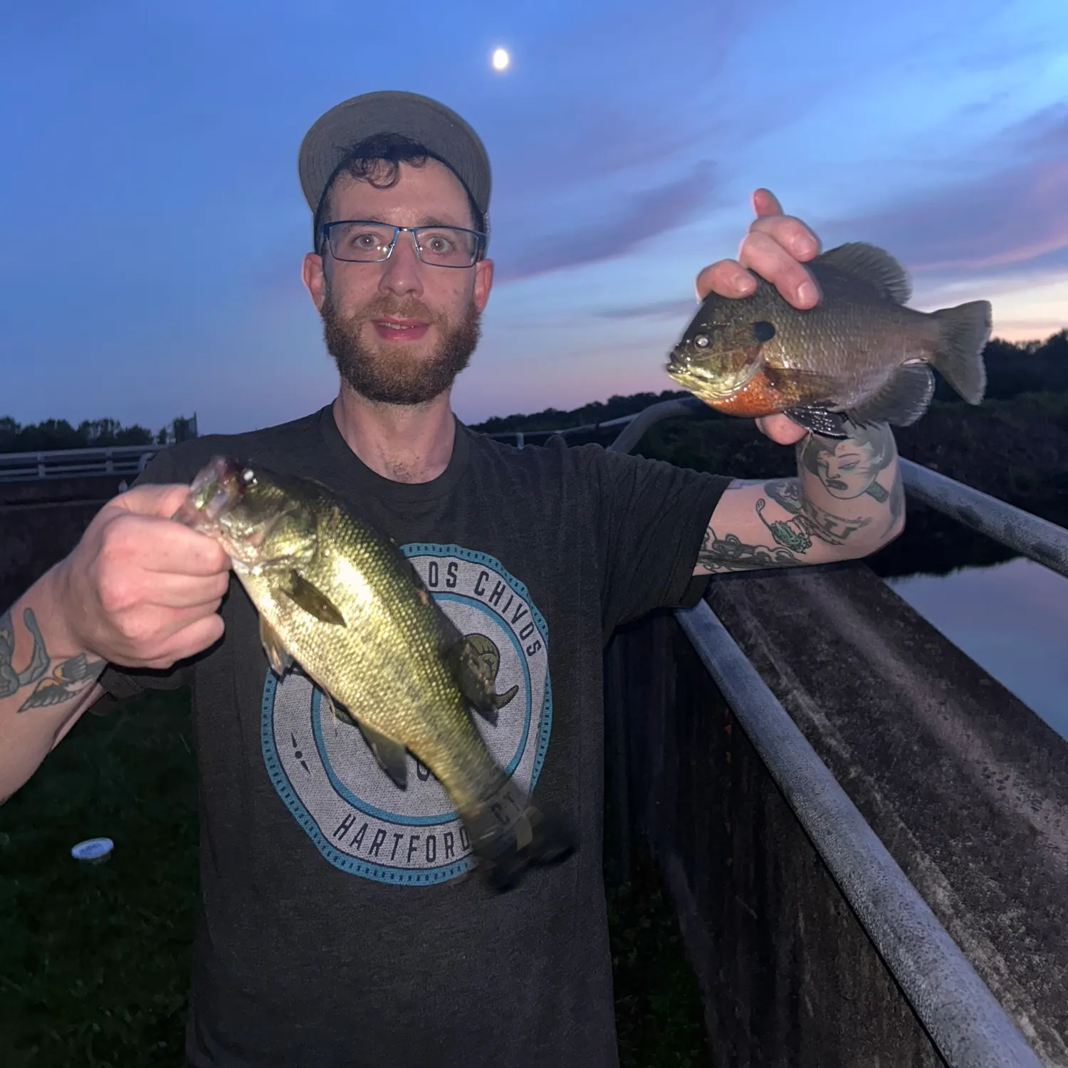 recently logged catches