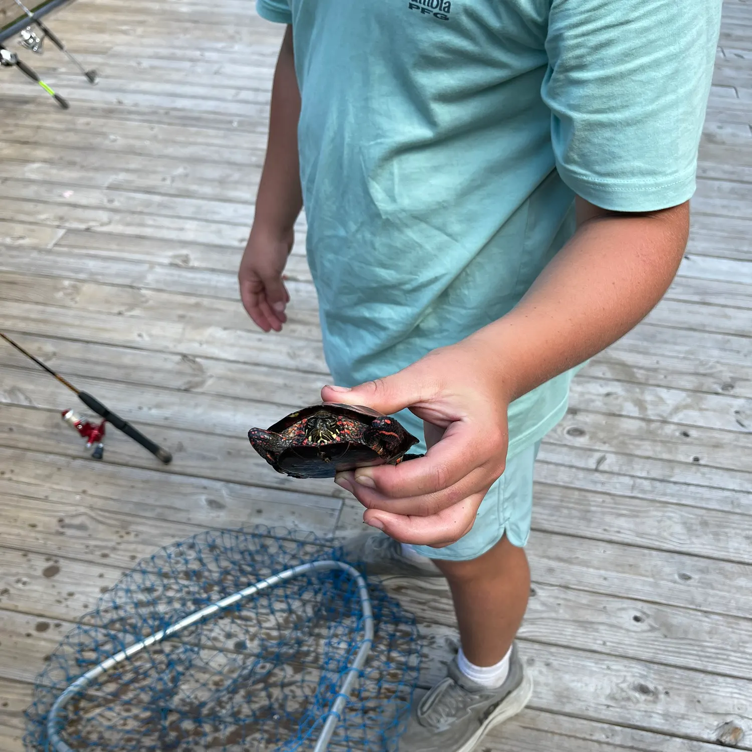 Painted turtle caught on Fishbrain