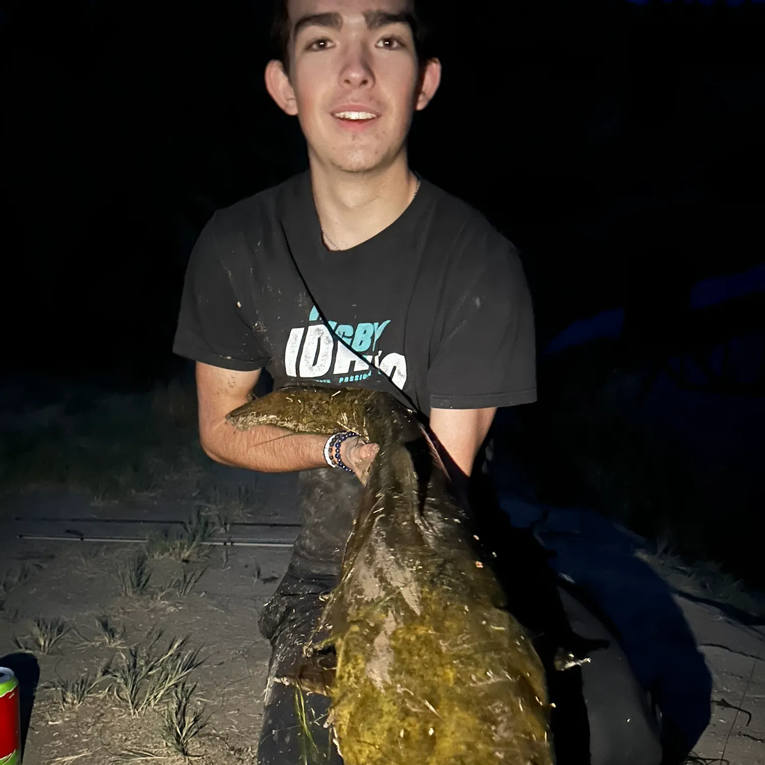 Flathead catfish caught on Fishbrain