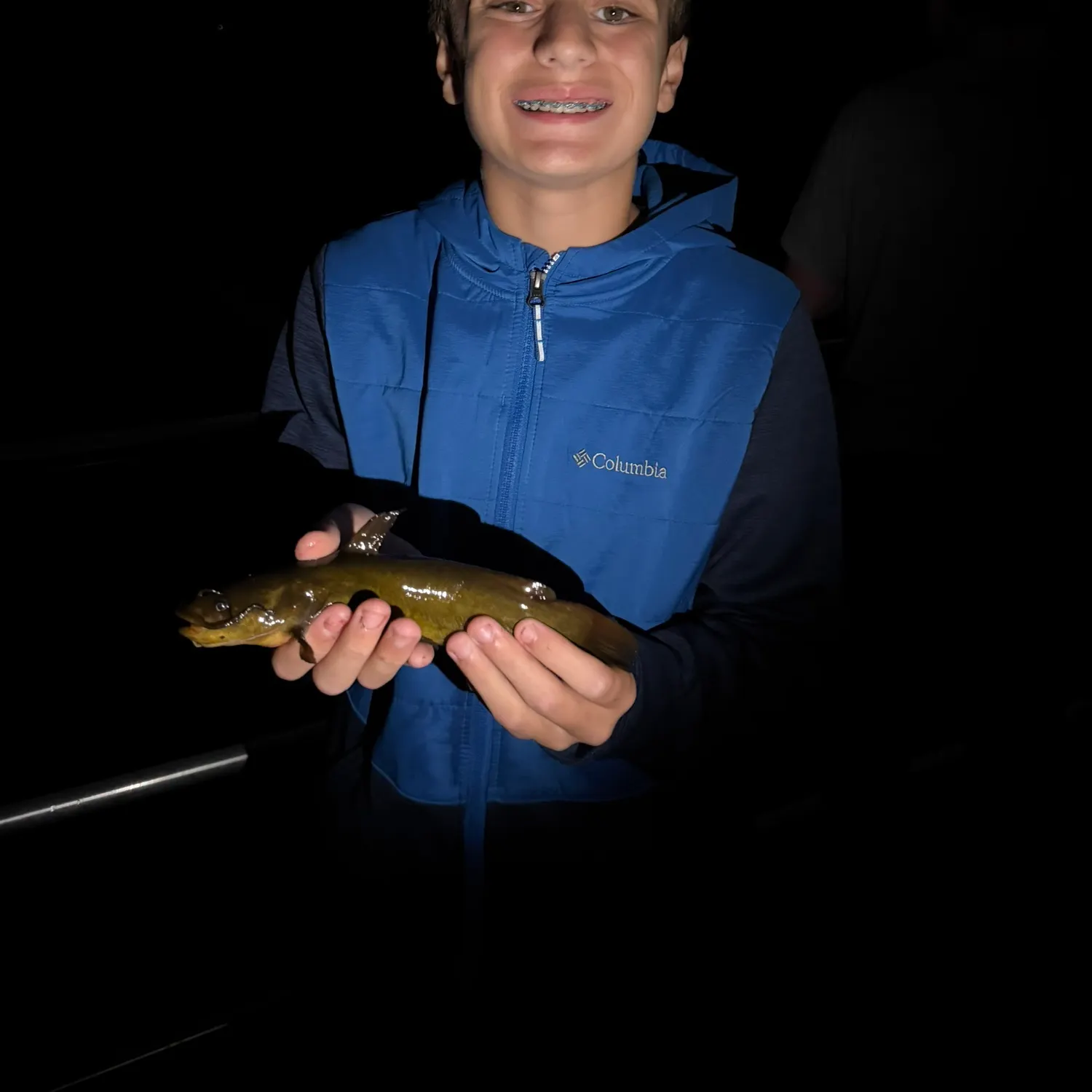 Yellow bullhead caught on Fishbrain