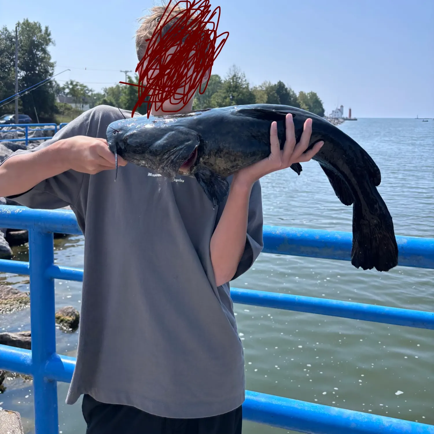 Flathead catfish caught on Fishbrain