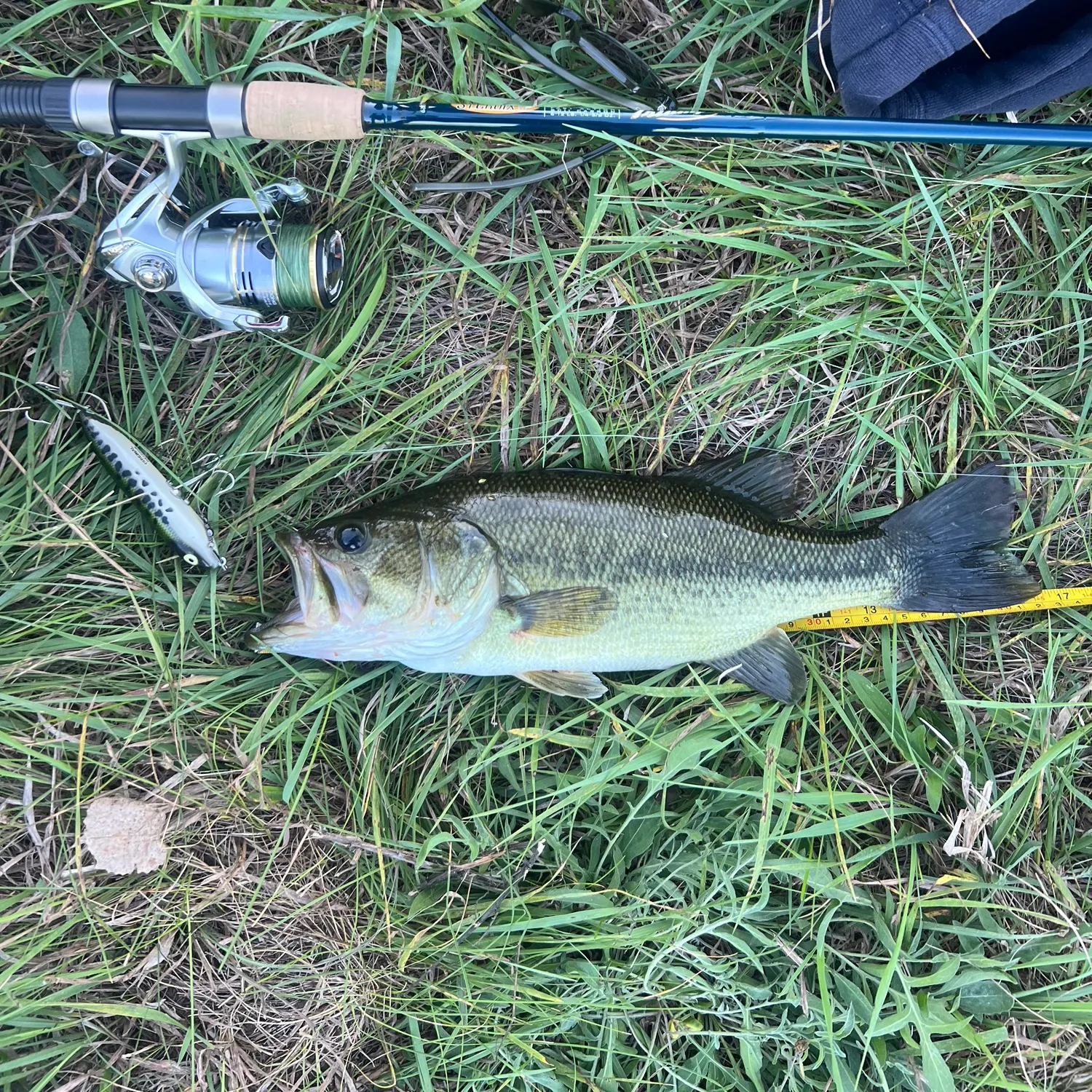 Largemouth bass caught on Fishbrain