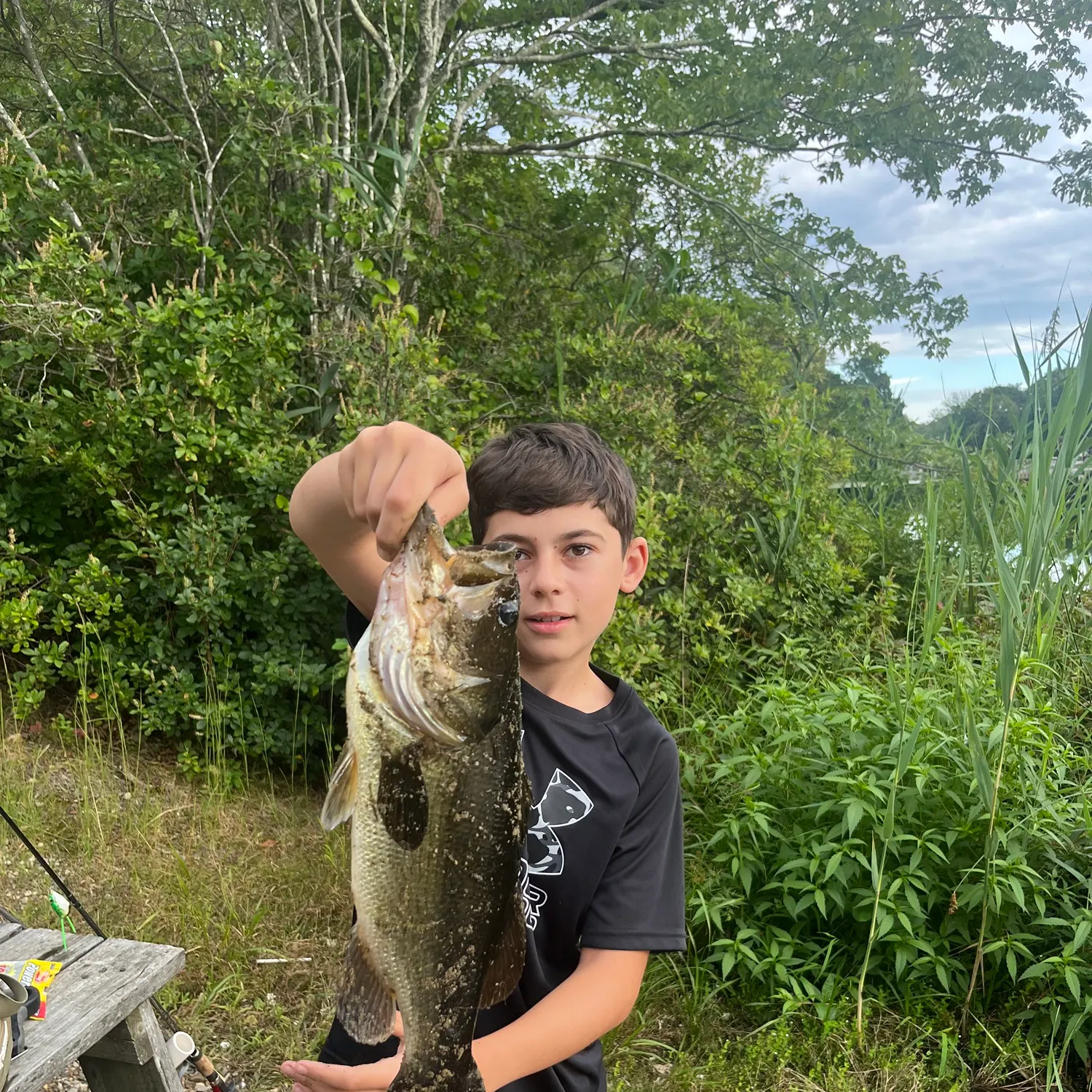 Largemouth bass caught on Fishbrain