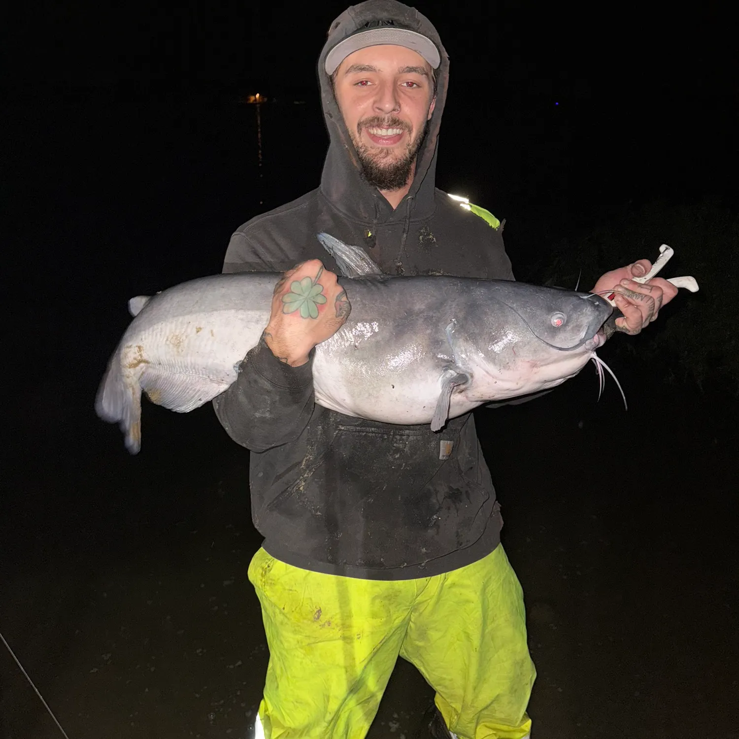 Blue catfish caught on Fishbrain