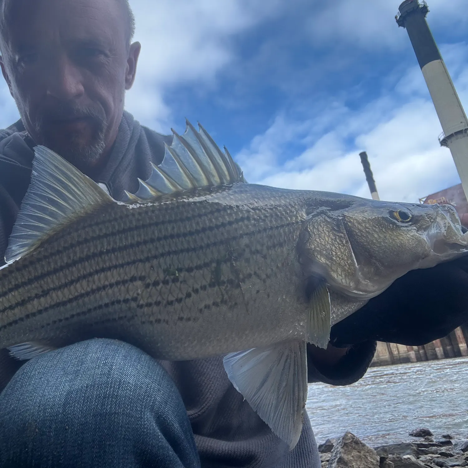 Wiper caught on Fishbrain