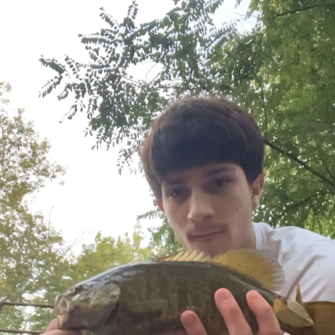 Smallmouth bass caught on Fishbrain