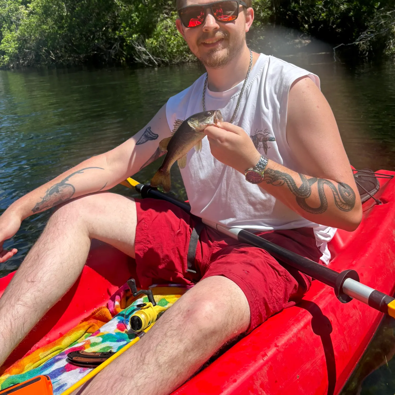 recently logged catches