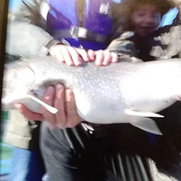 Lake char caught on Fishbrain