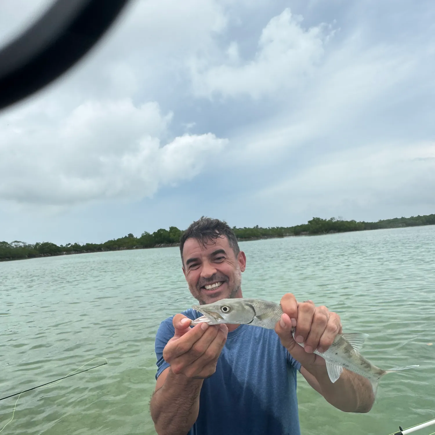 The most recent Southern sennet catches on Fishbrain