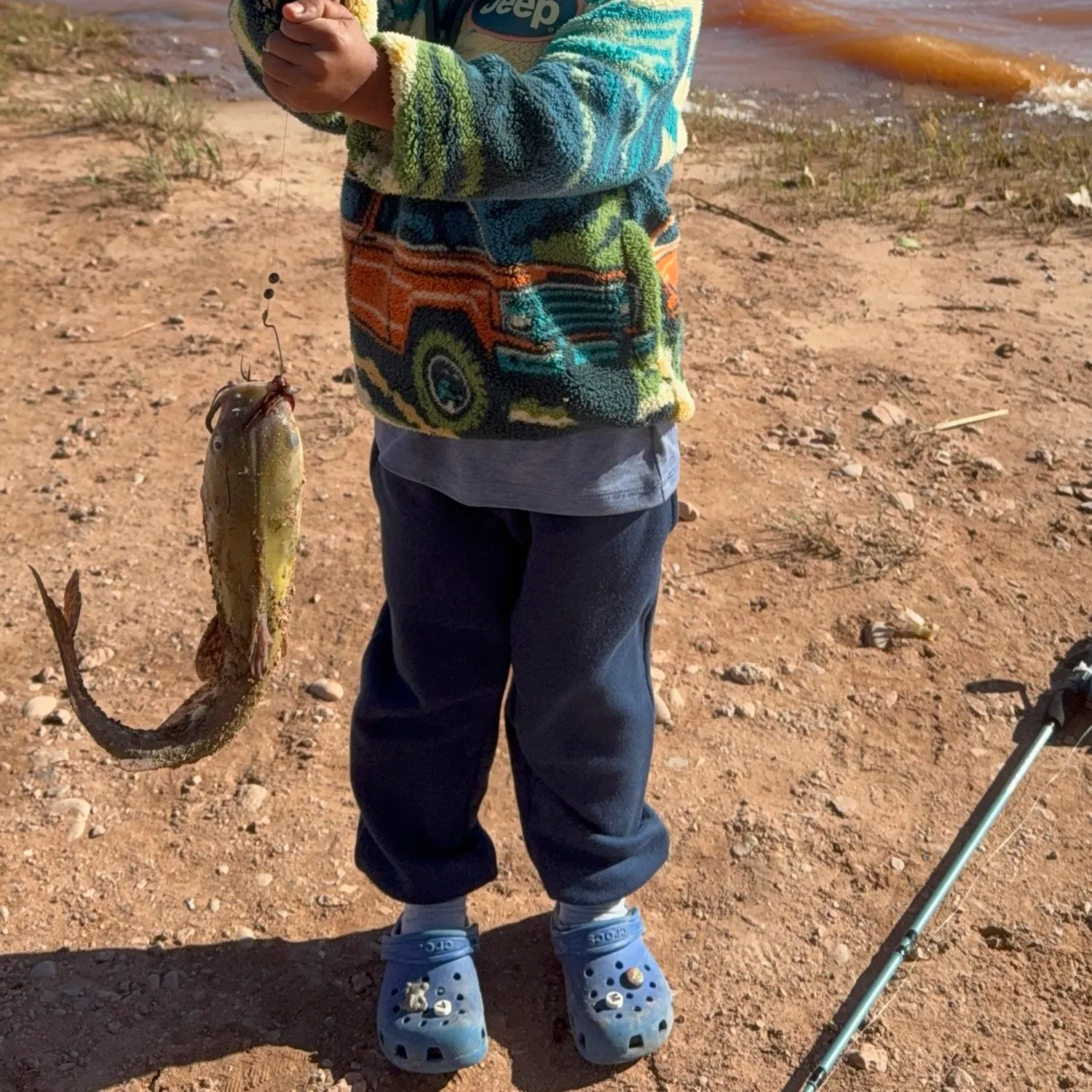 Channel catfish caught on Fishbrain