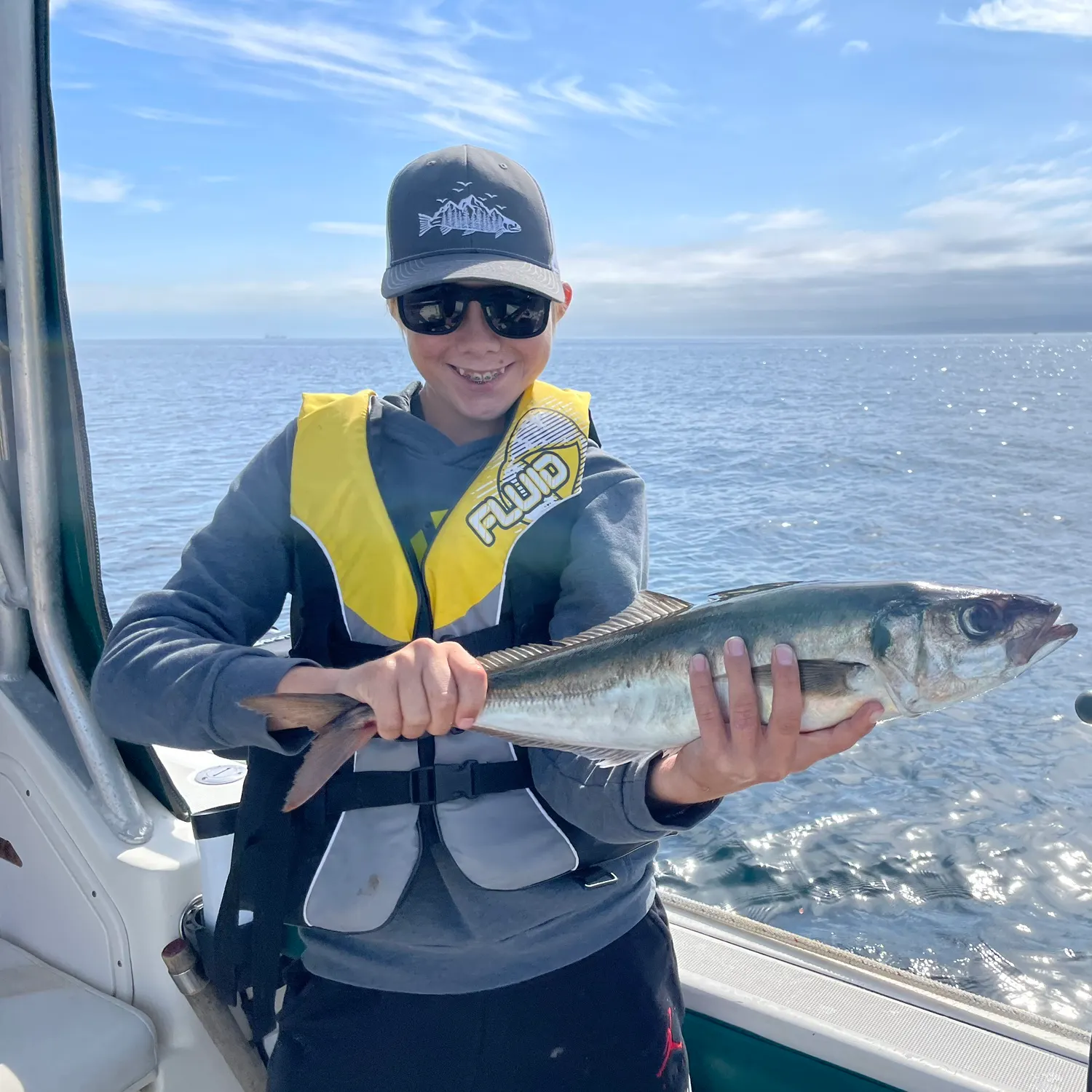 The most recent Atlantic horse mackerel catches on Fishbrain