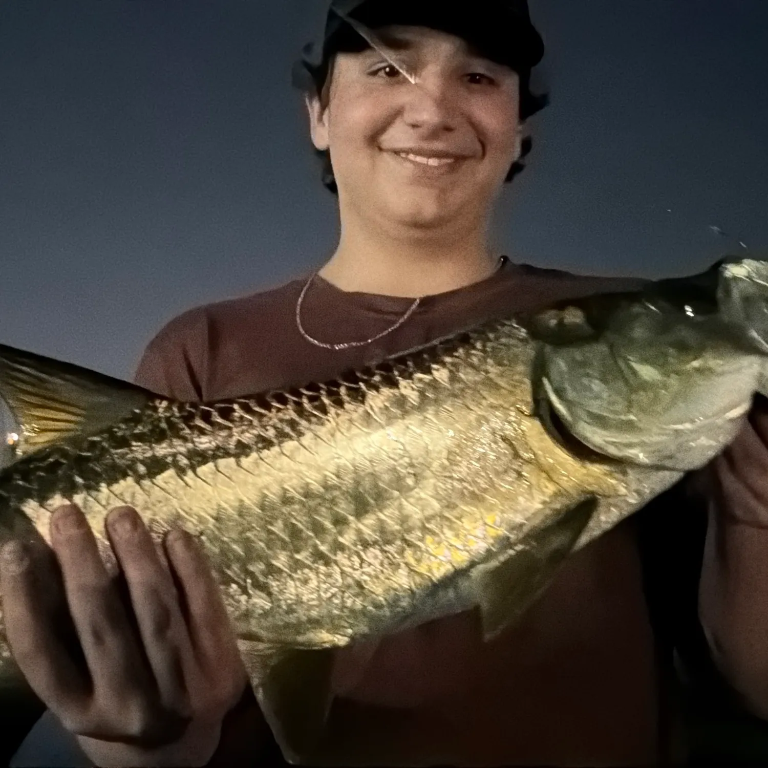 The most recent Tarpon catches on Fishbrain