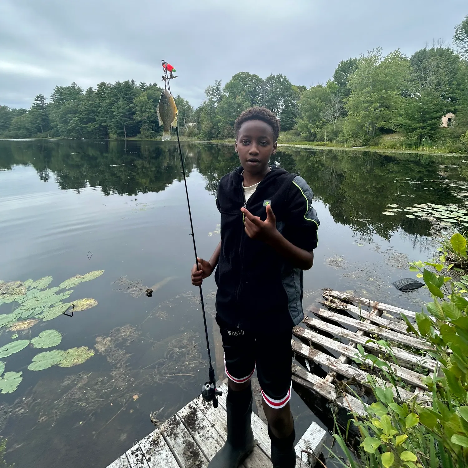Pumpkinseed caught on Fishbrain