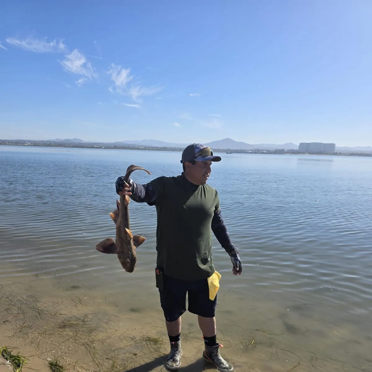 The most recent Horn shark catches on Fishbrain