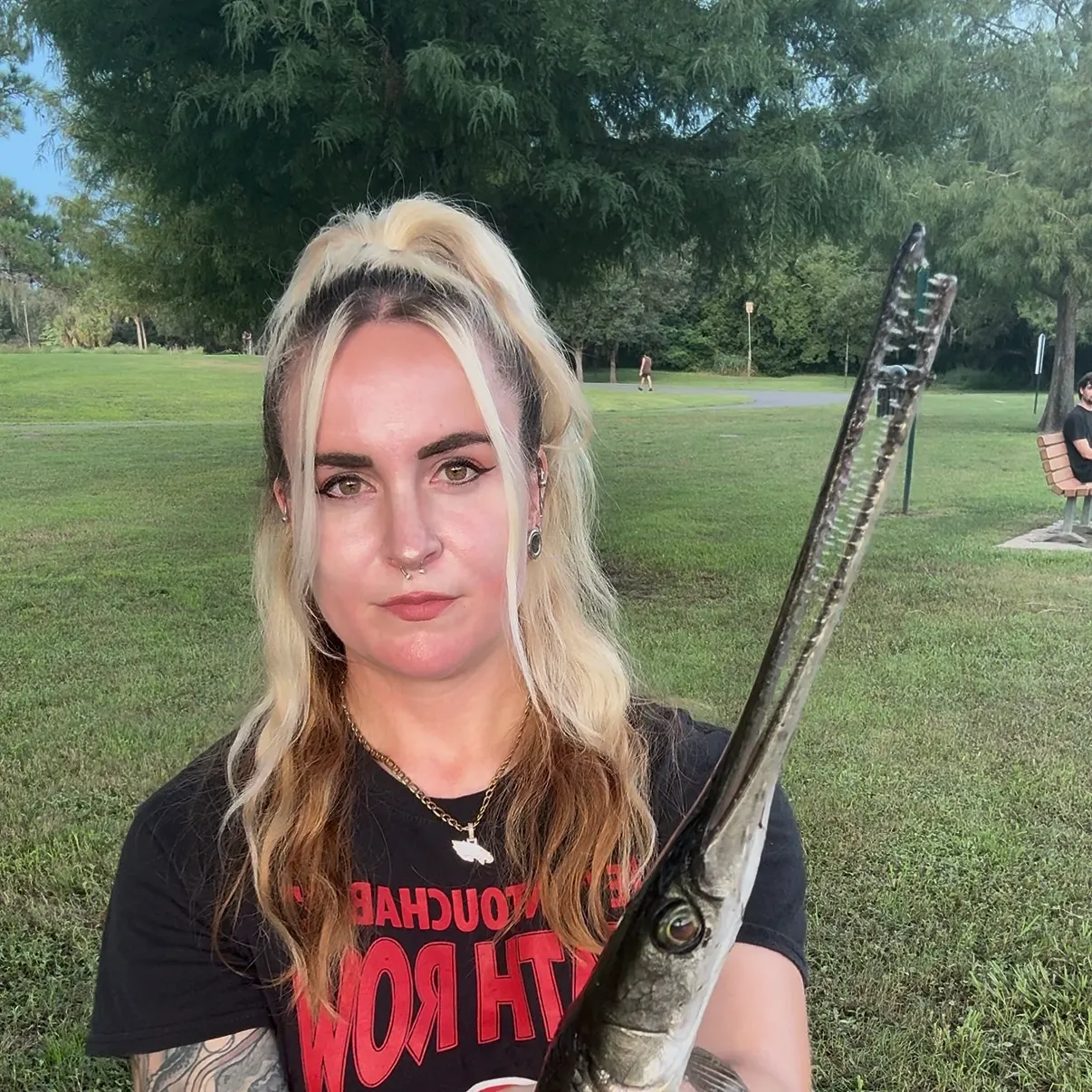 The most recent Longnose gar catches on Fishbrain