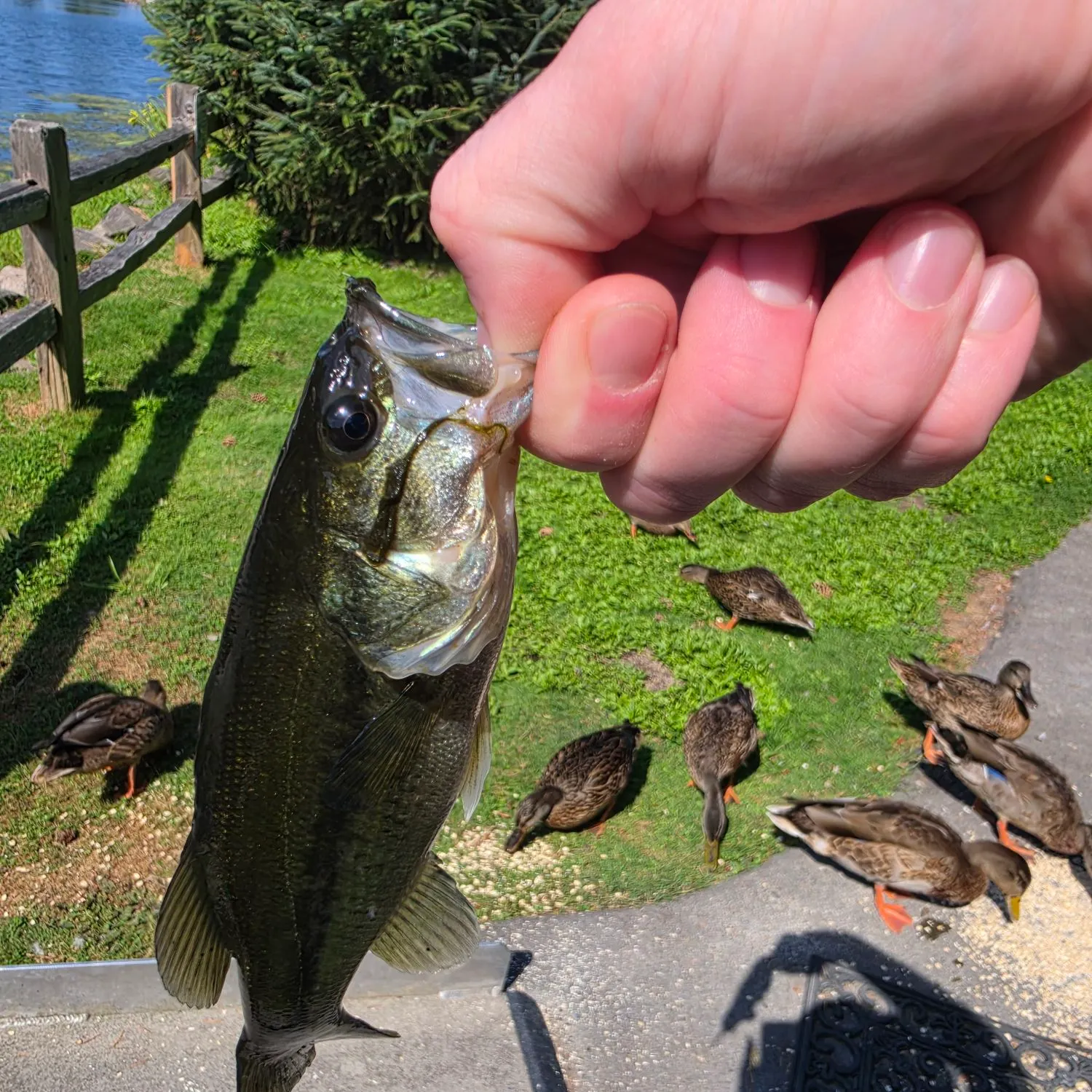 catch