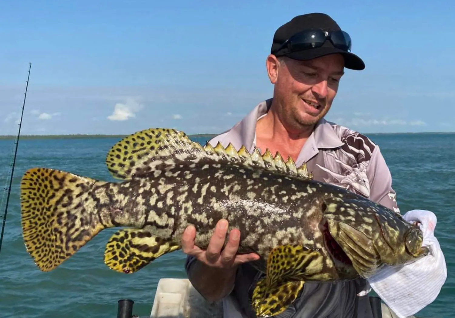 Giant grouper