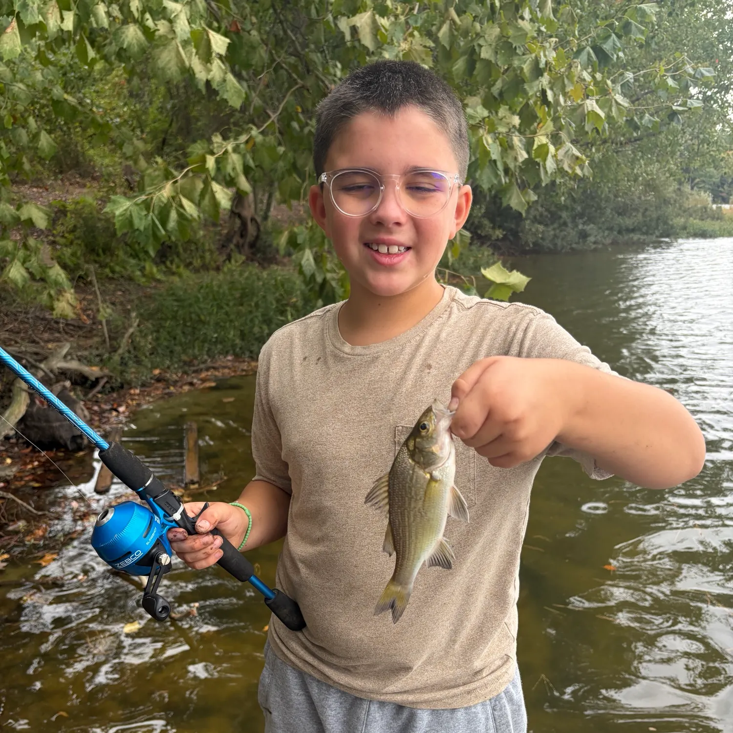 White perch caught on Fishbrain