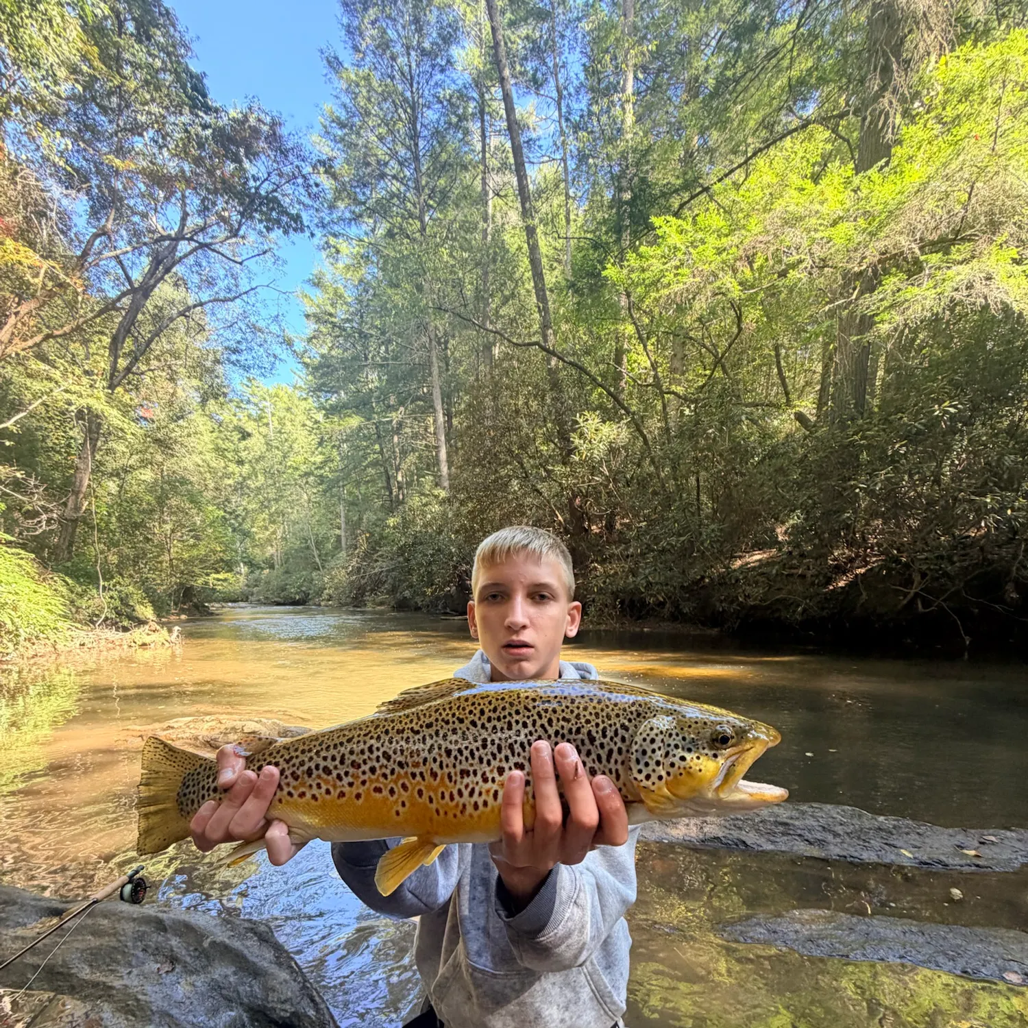 Brown trout caught on Fishbrain