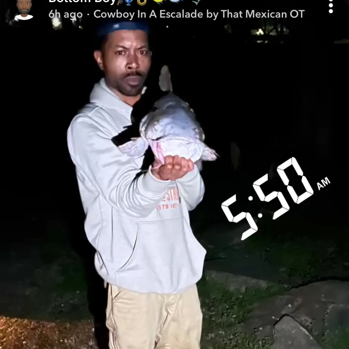 recently logged catches