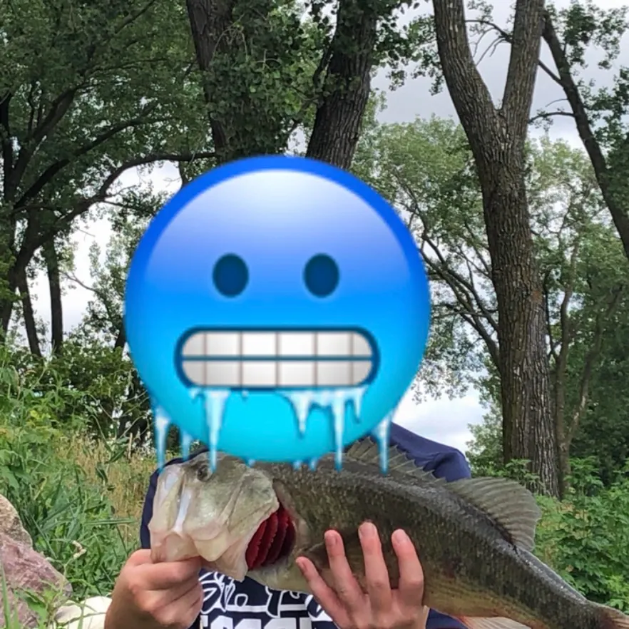 Largemouth bass caught on Fishbrain