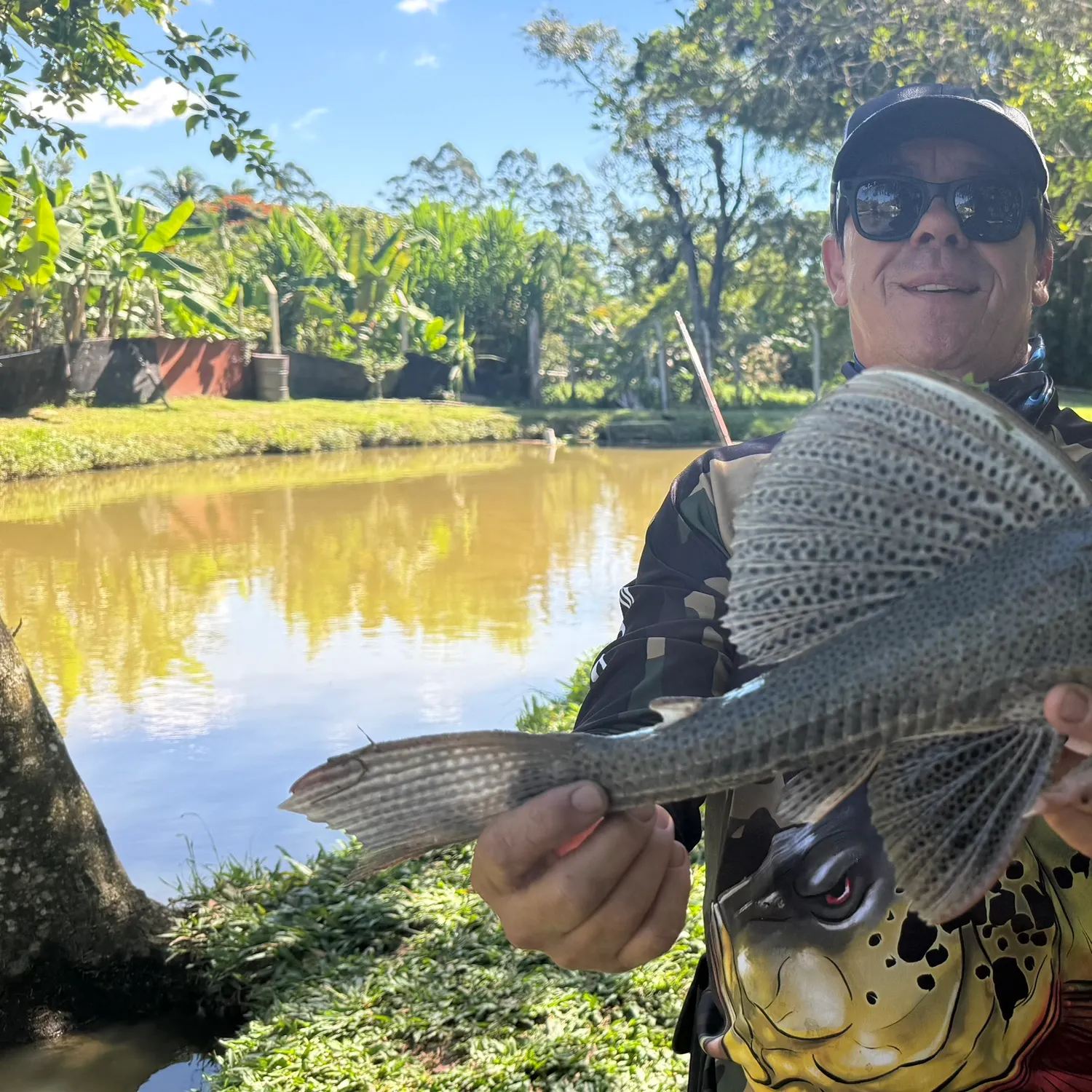 The most recent Snow Pleco catches on Fishbrain