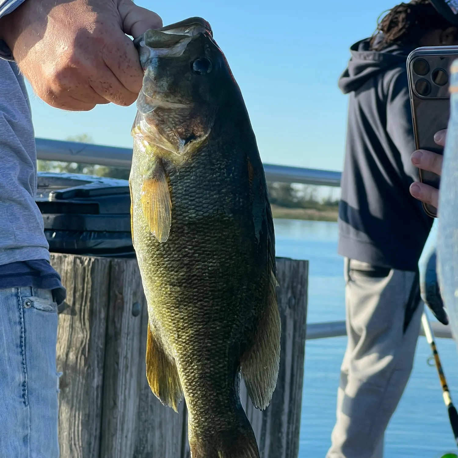 Smallmouth bass caught on Fishbrain