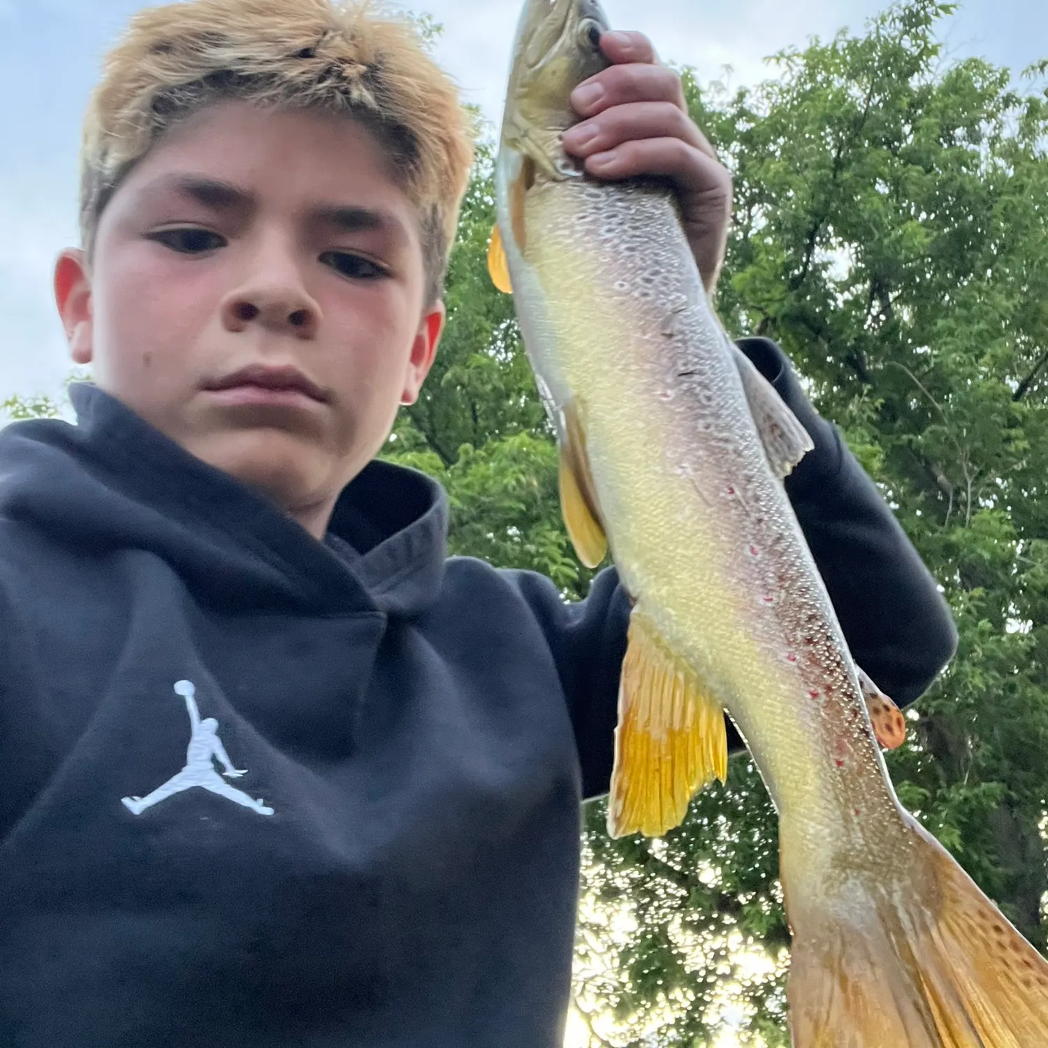 The most recent Brown trout catches on Fishbrain