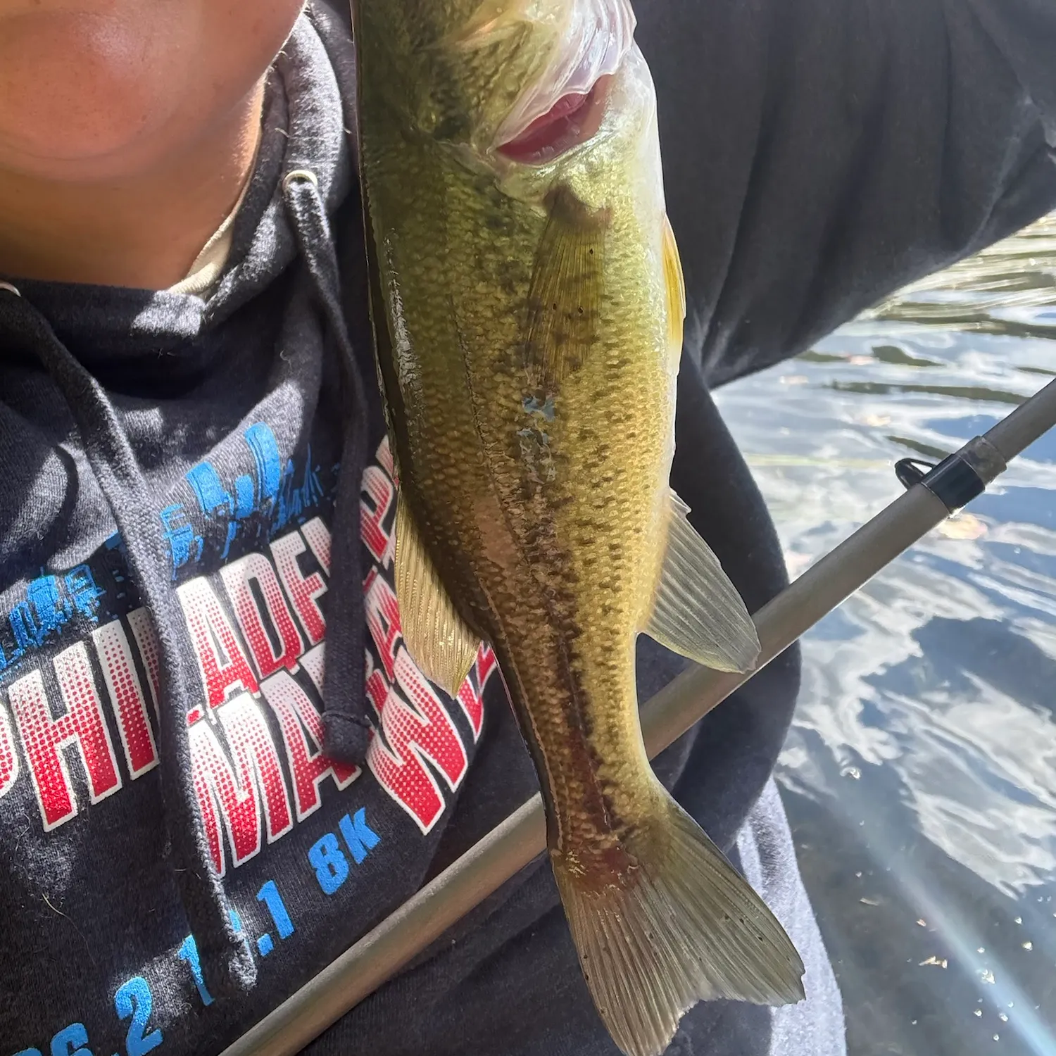 Largemouth bass caught on Fishbrain