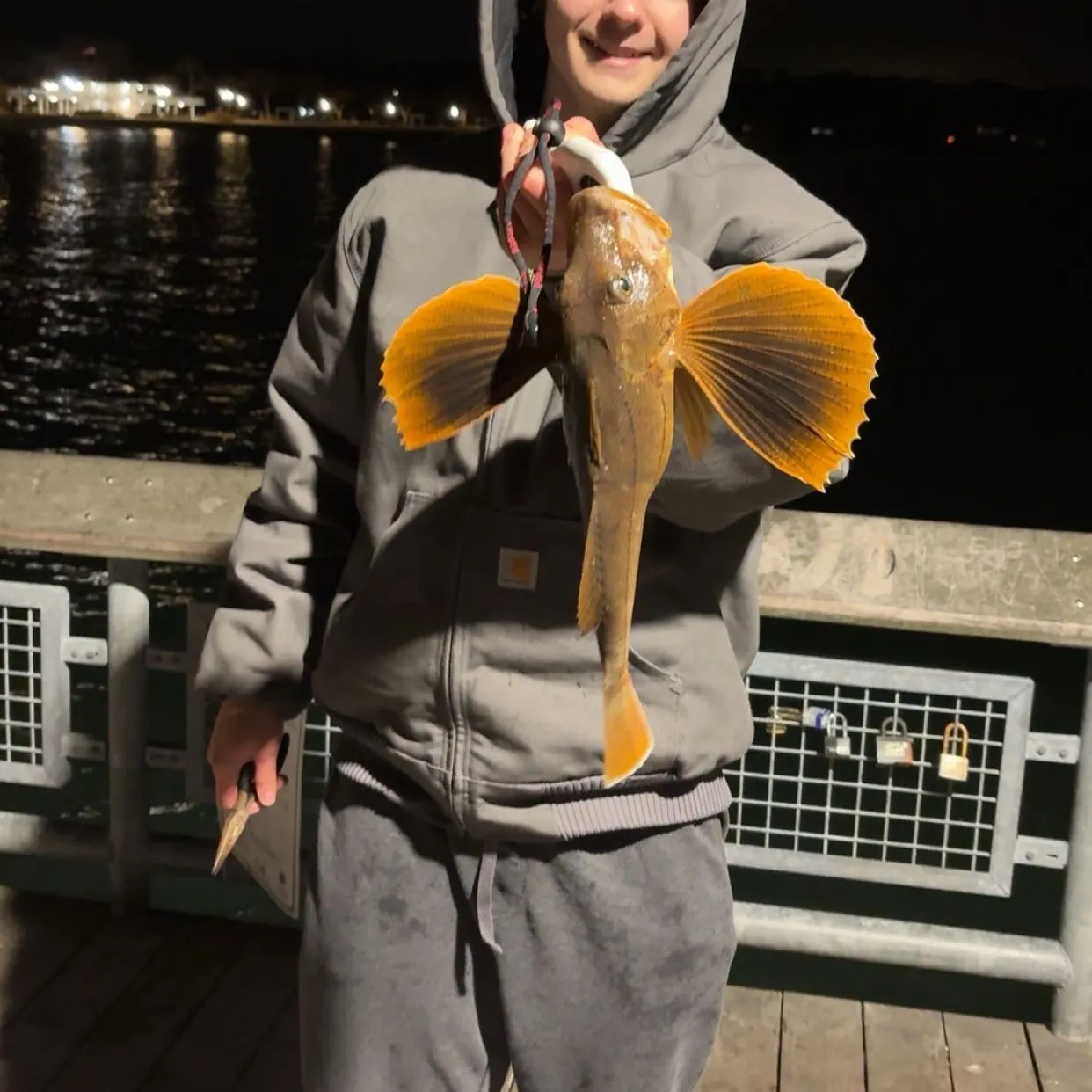 recently logged catches