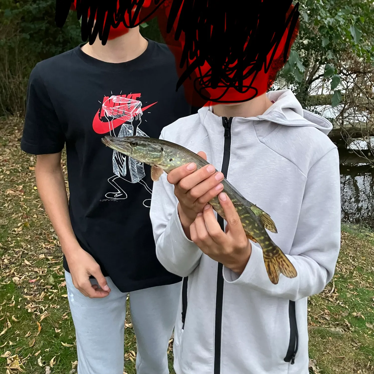 Northern pike caught on Fishbrain