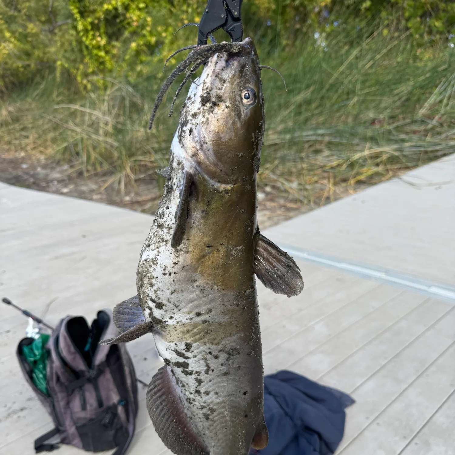 catch