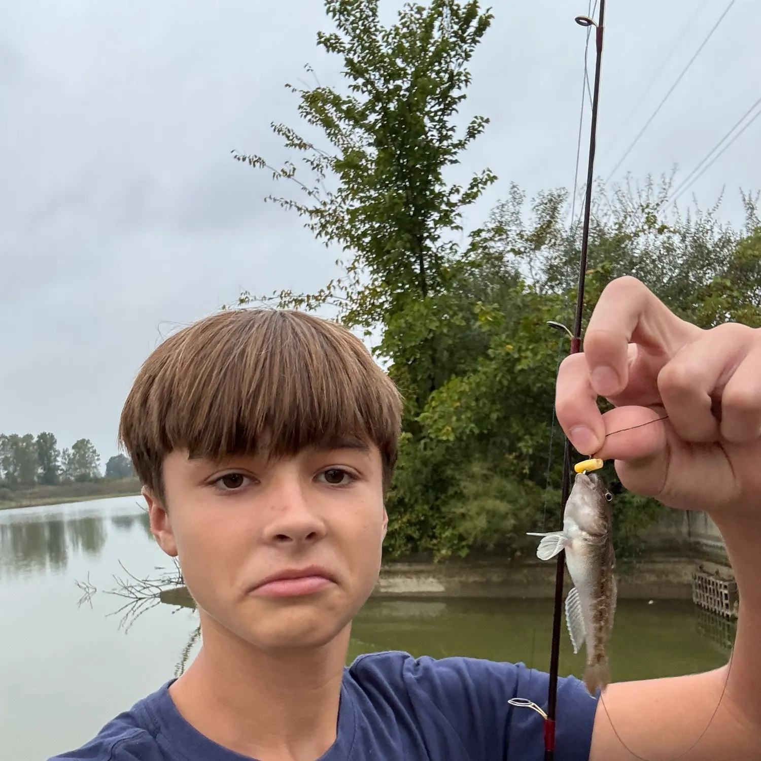 Round goby caught on Fishbrain
