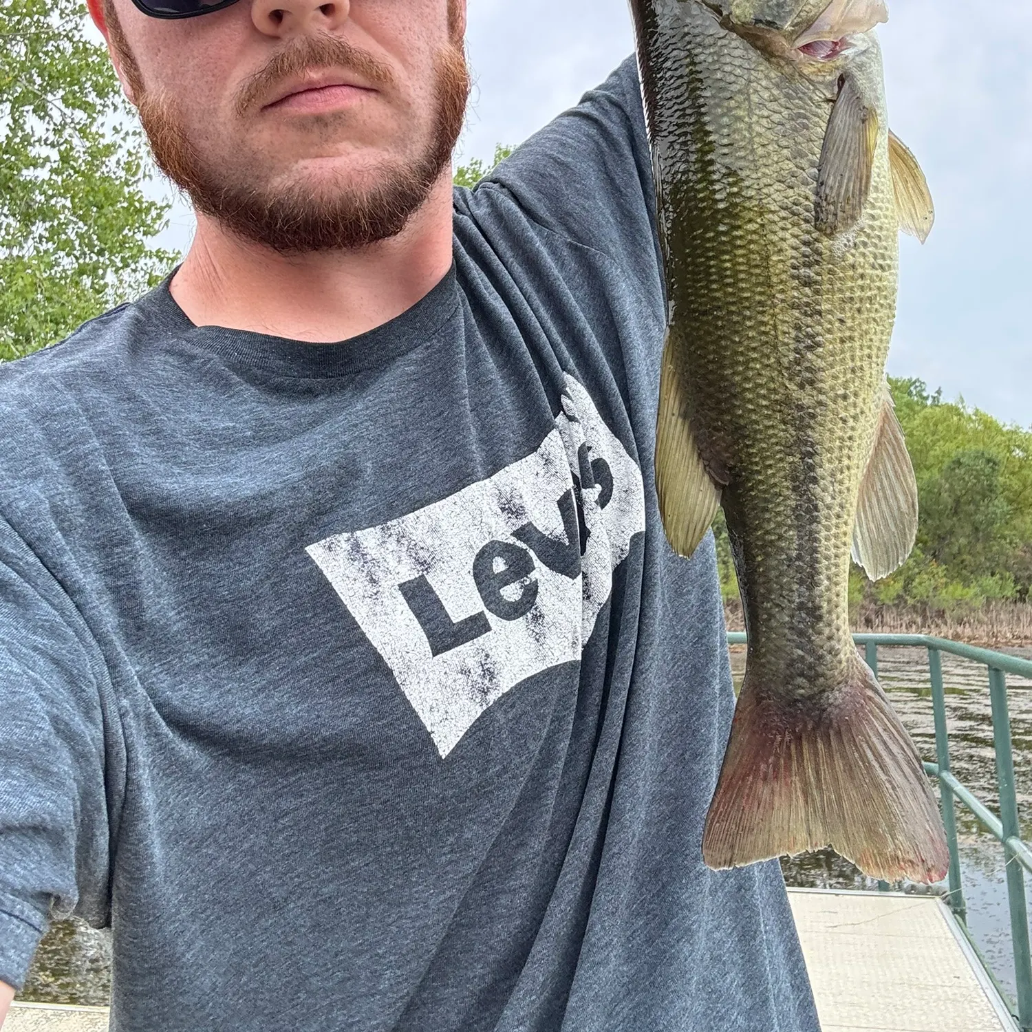 Largemouth bass caught on Fishbrain
