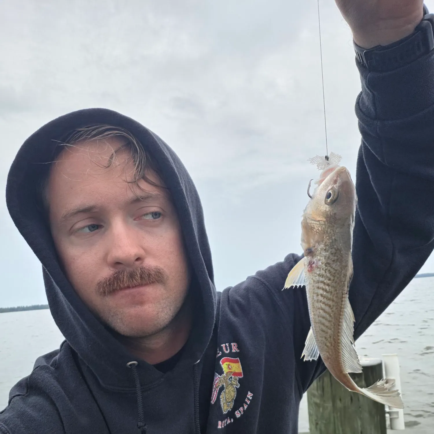 Atlantic croaker caught on Fishbrain