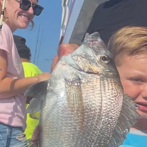Striped bass caught on Fishbrain