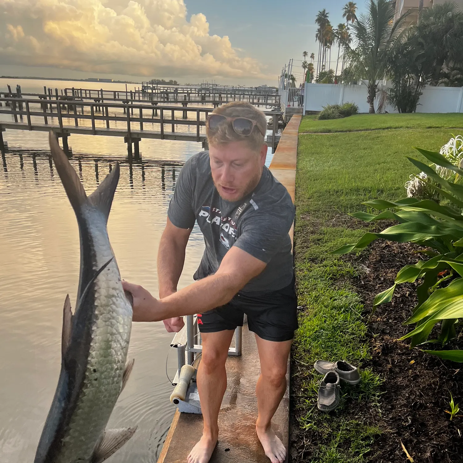 The most recent Tarpon catches on Fishbrain