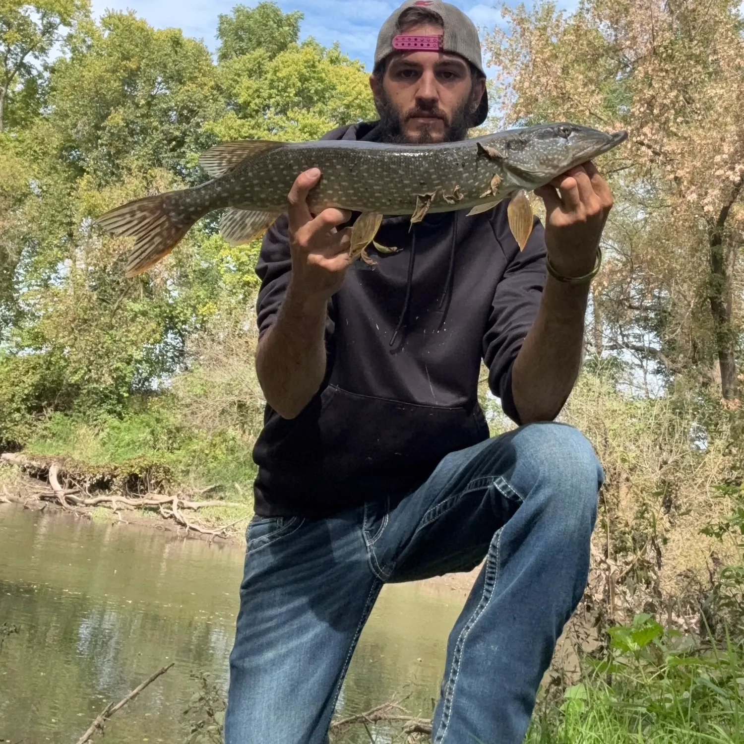 Northern pike caught on Fishbrain