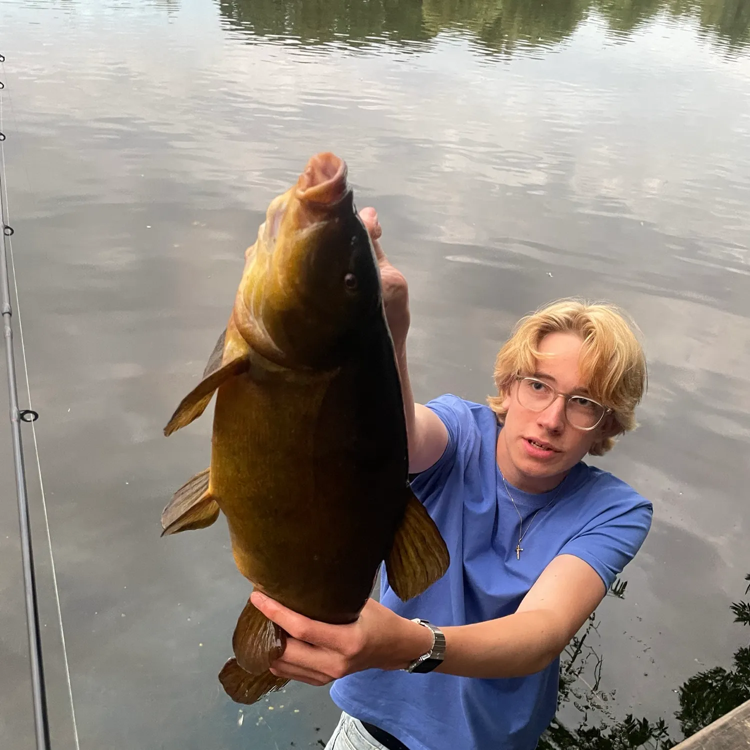 Tench caught on Fishbrain