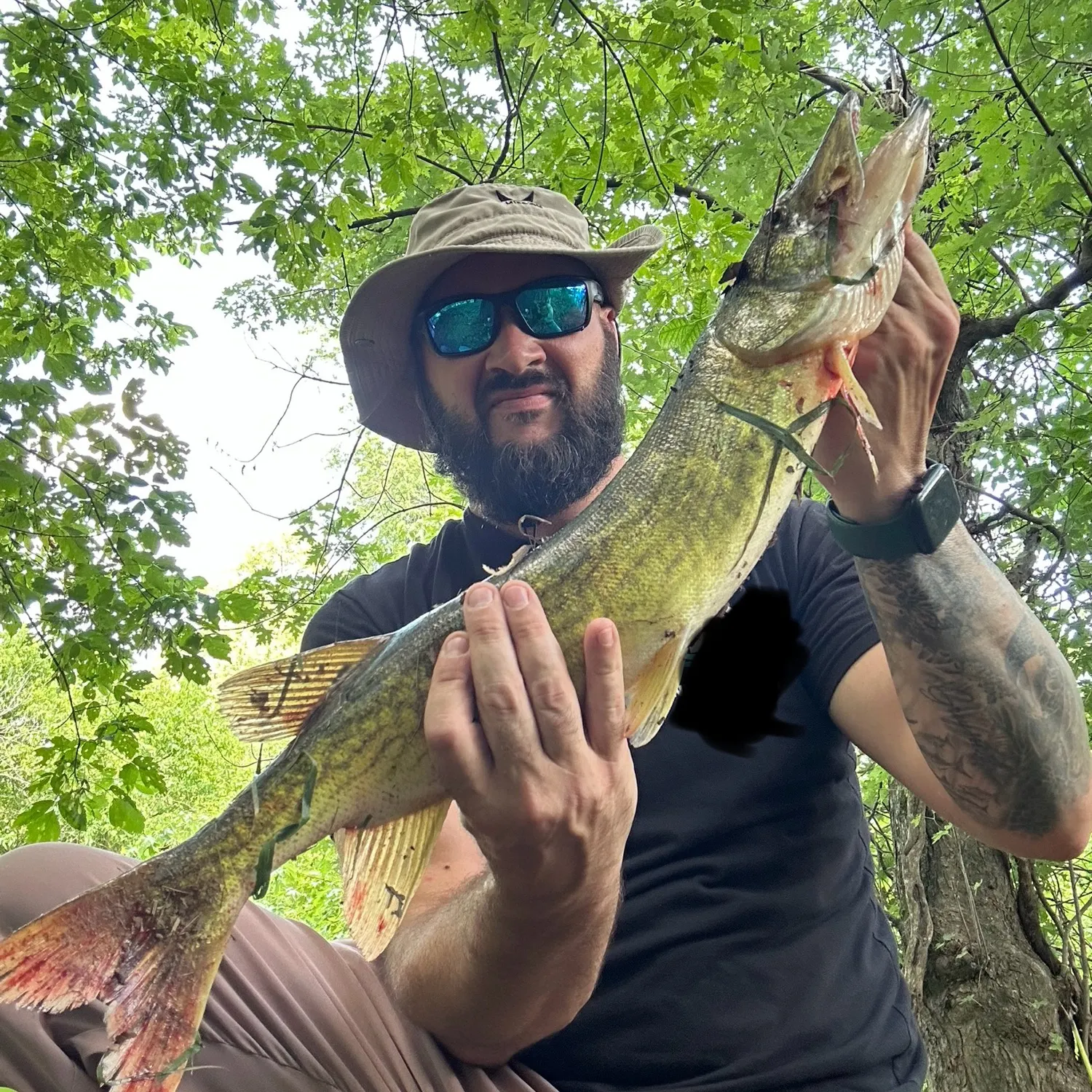 recently logged catches