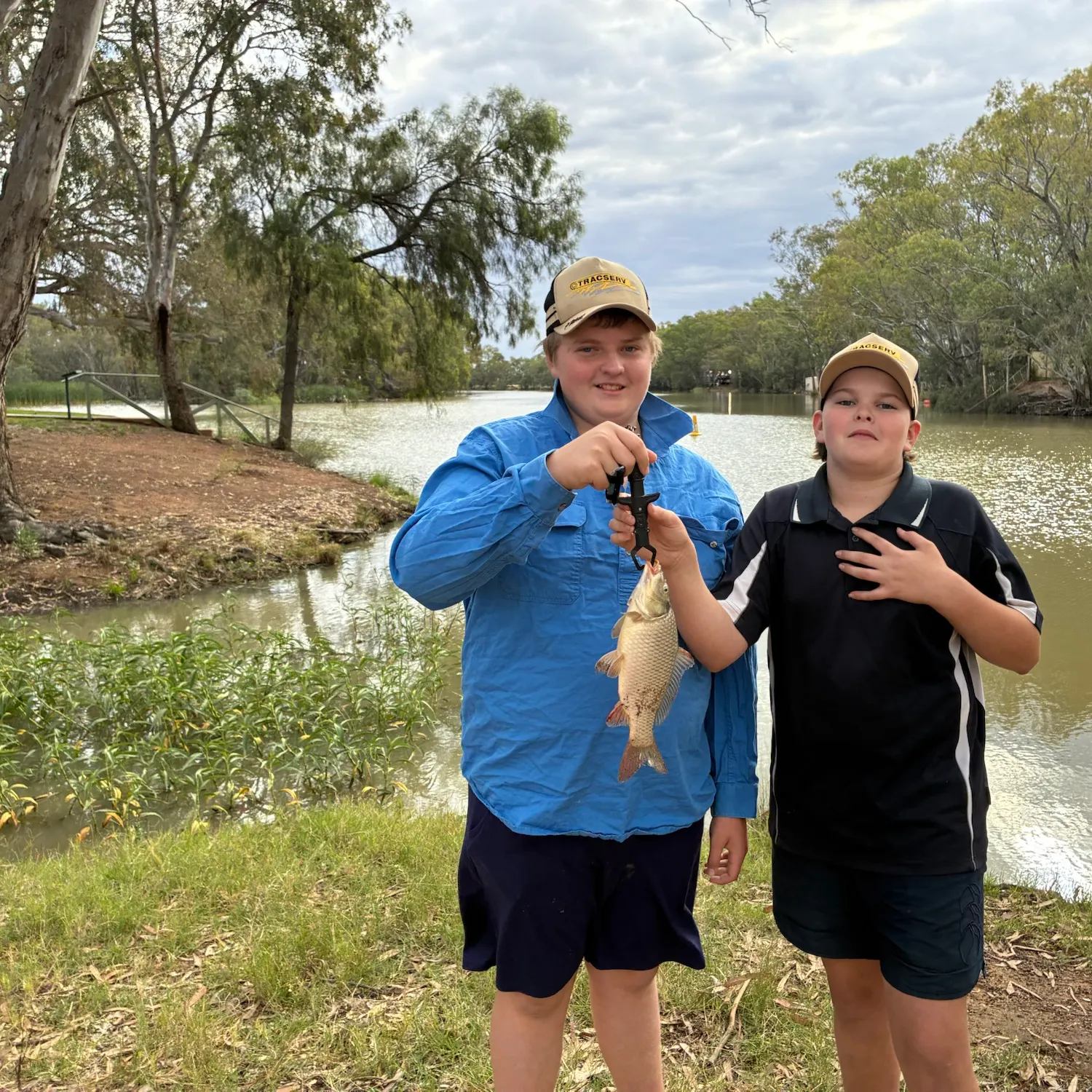 Common carp caught on Fishbrain