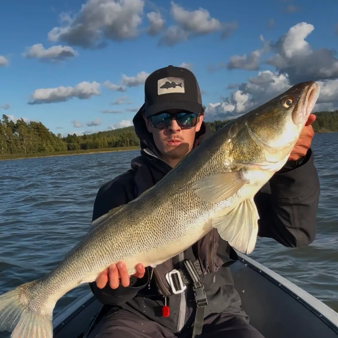 Zander caught on Fishbrain