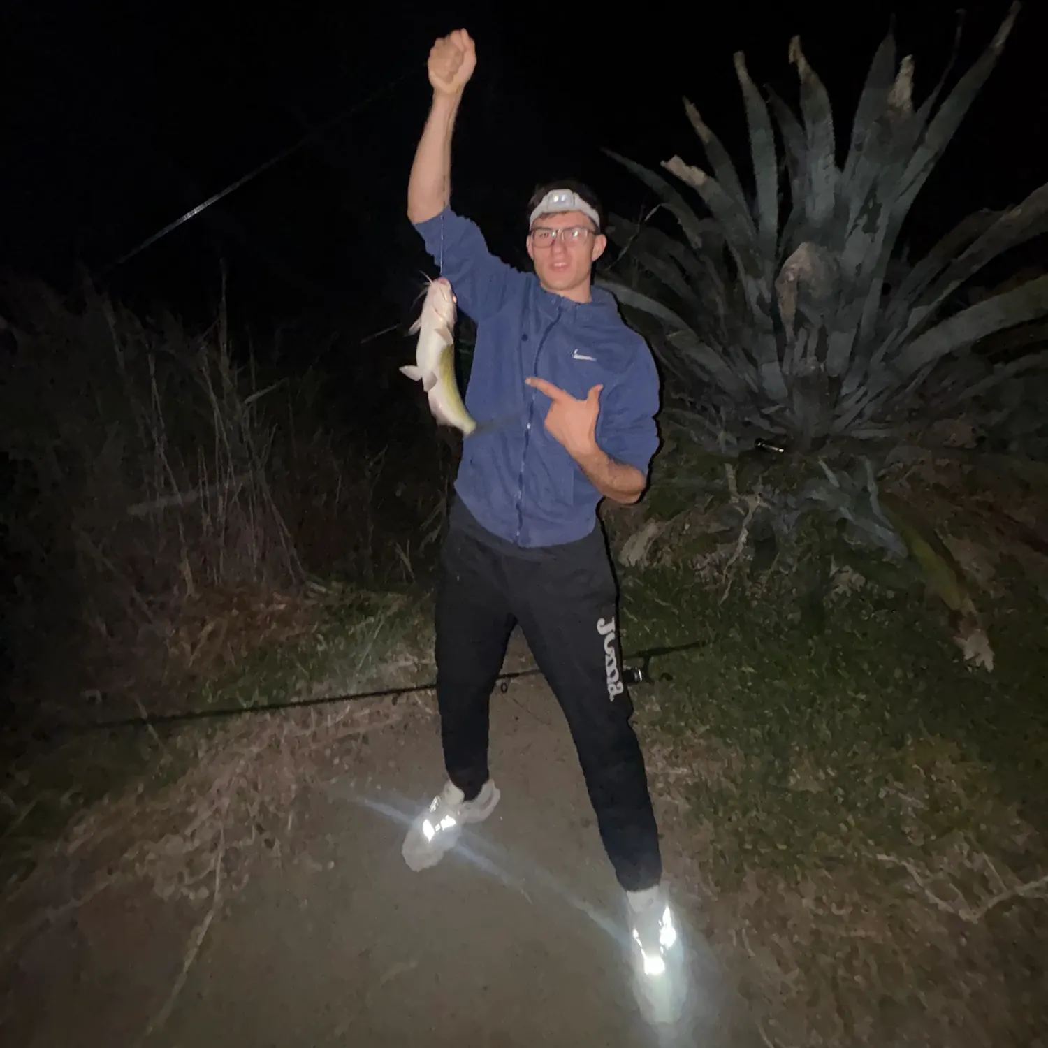 Black bullhead caught on Fishbrain