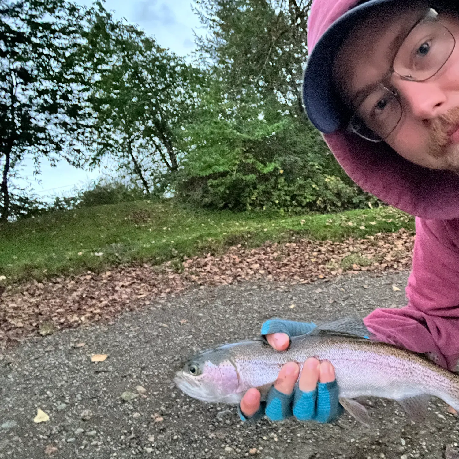 Rainbow trout caught on Fishbrain