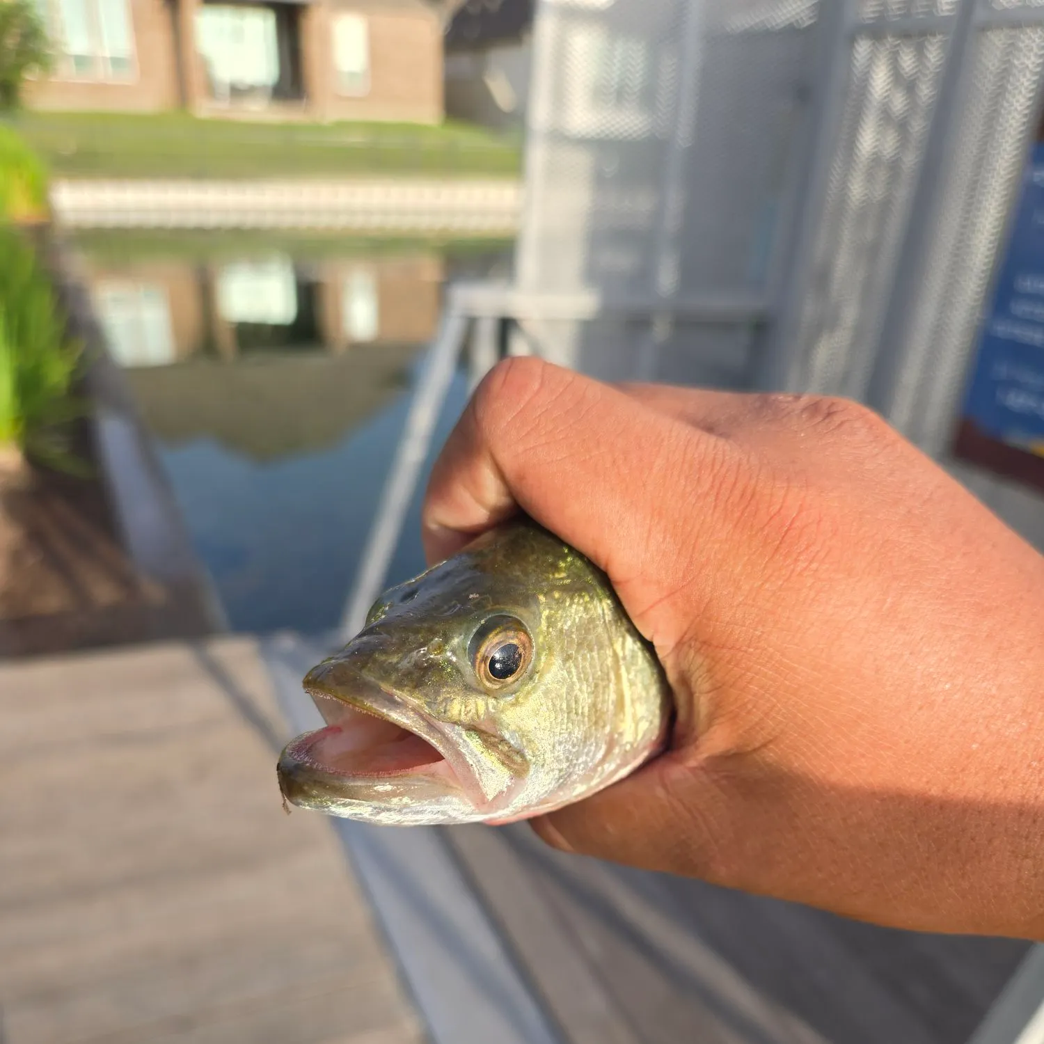 catch