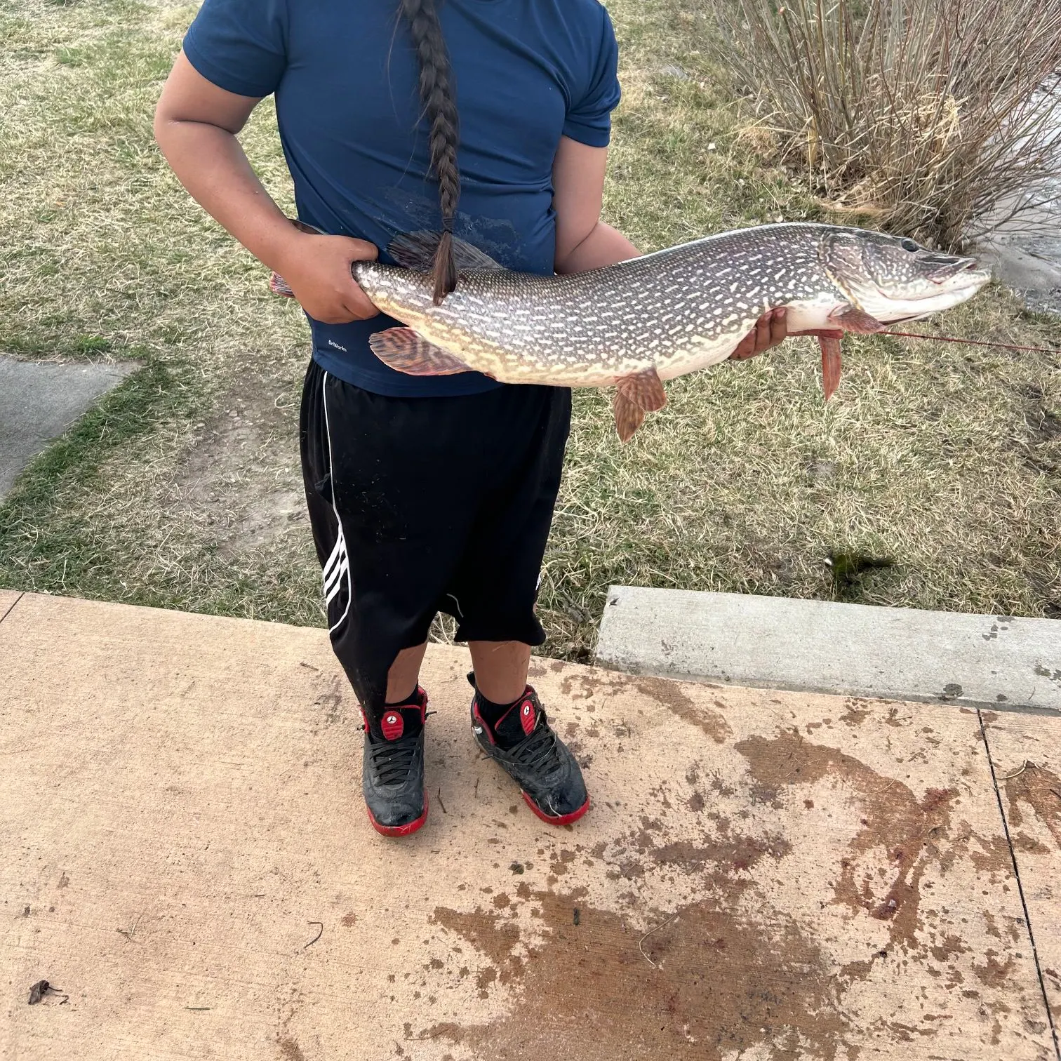The most recent Northern pike catches on Fishbrain