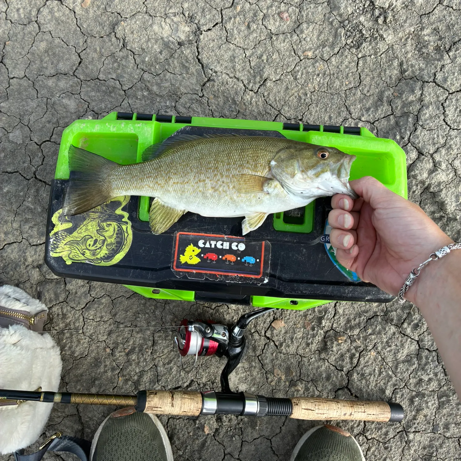 Smallmouth bass caught on Fishbrain