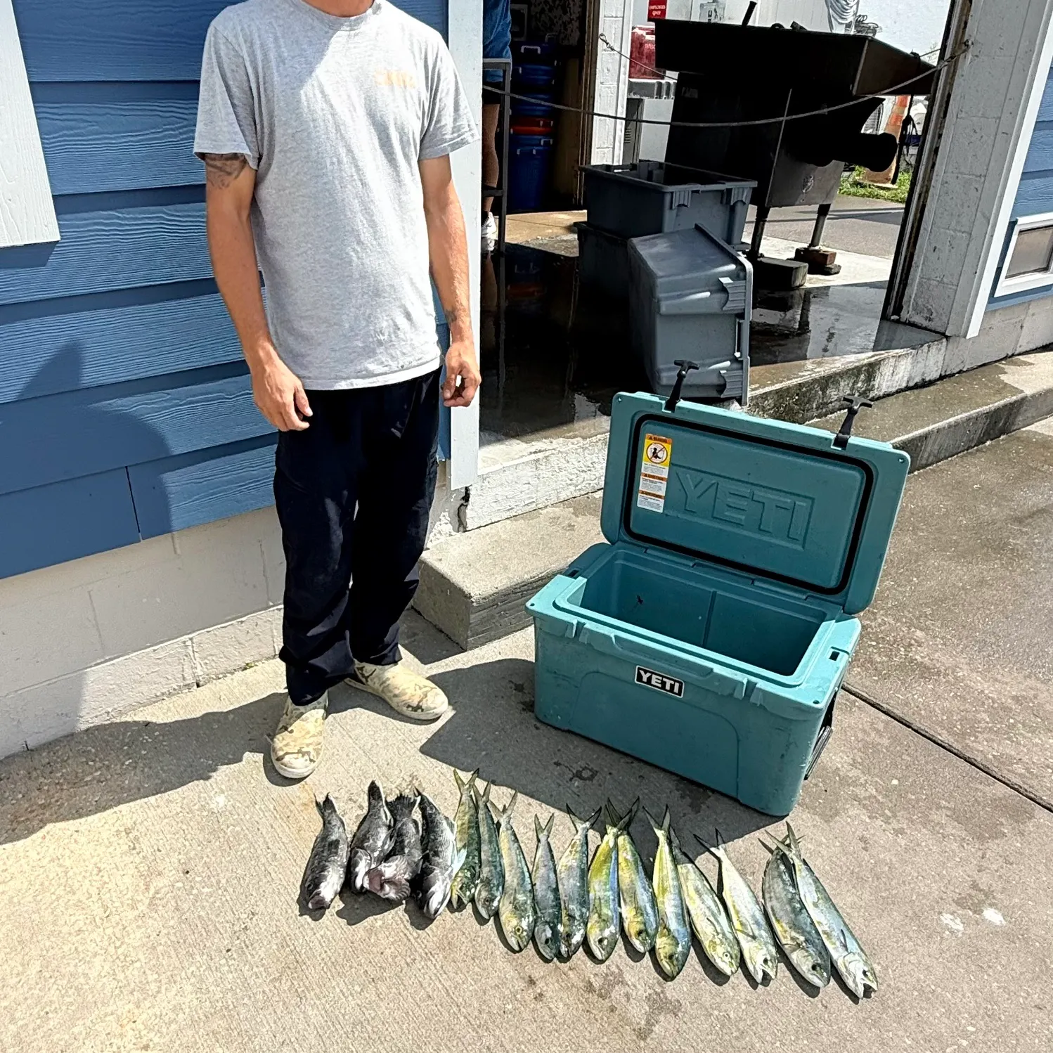 Common dolphinfish caught on Fishbrain