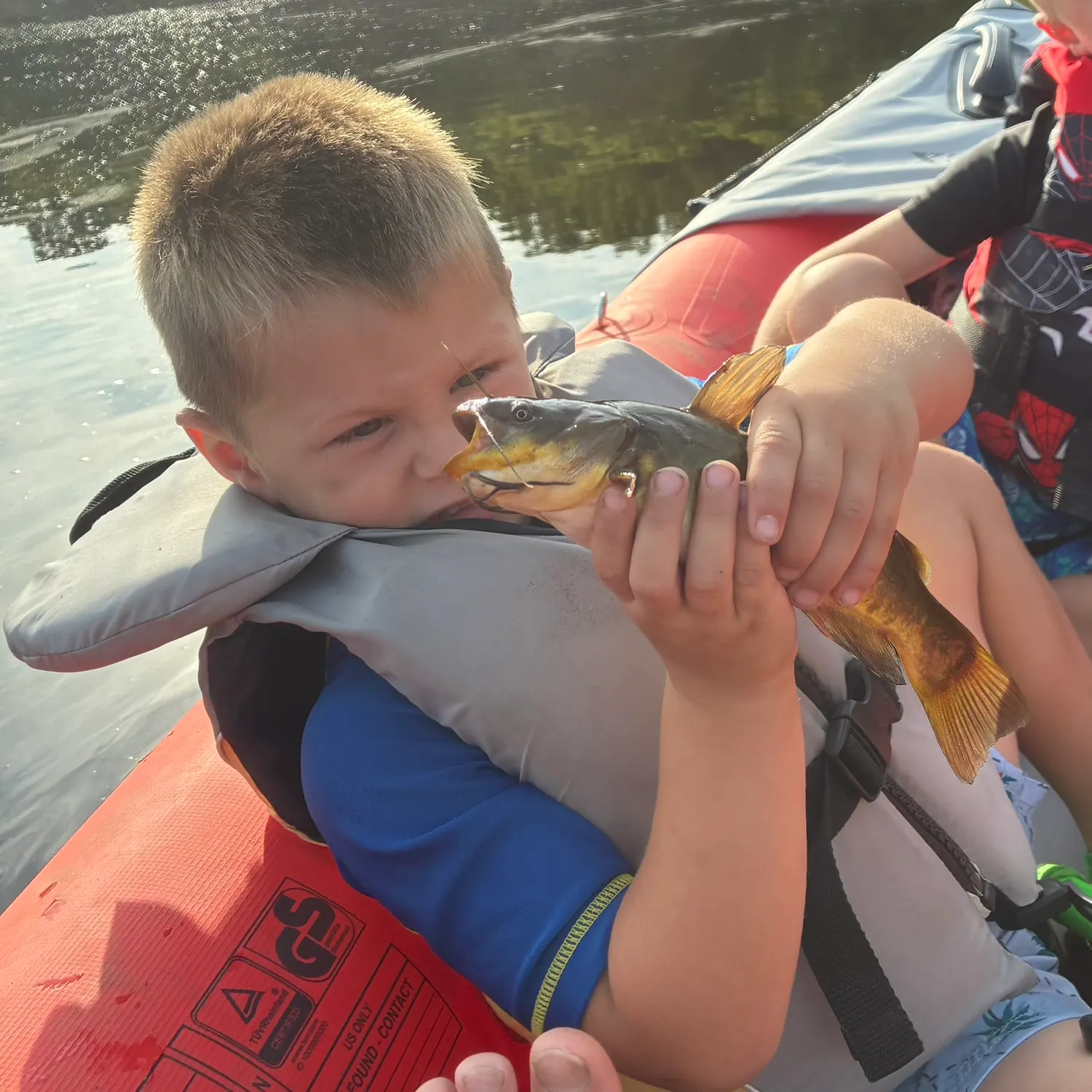 Yellow bullhead caught on Fishbrain
